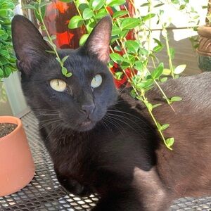 ❤️Reasonable Offers Welcomed❤️